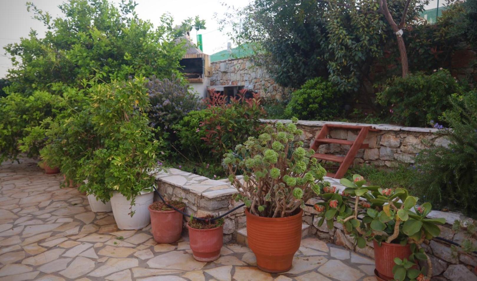 Athena Kythera Diakofti Bagian luar foto